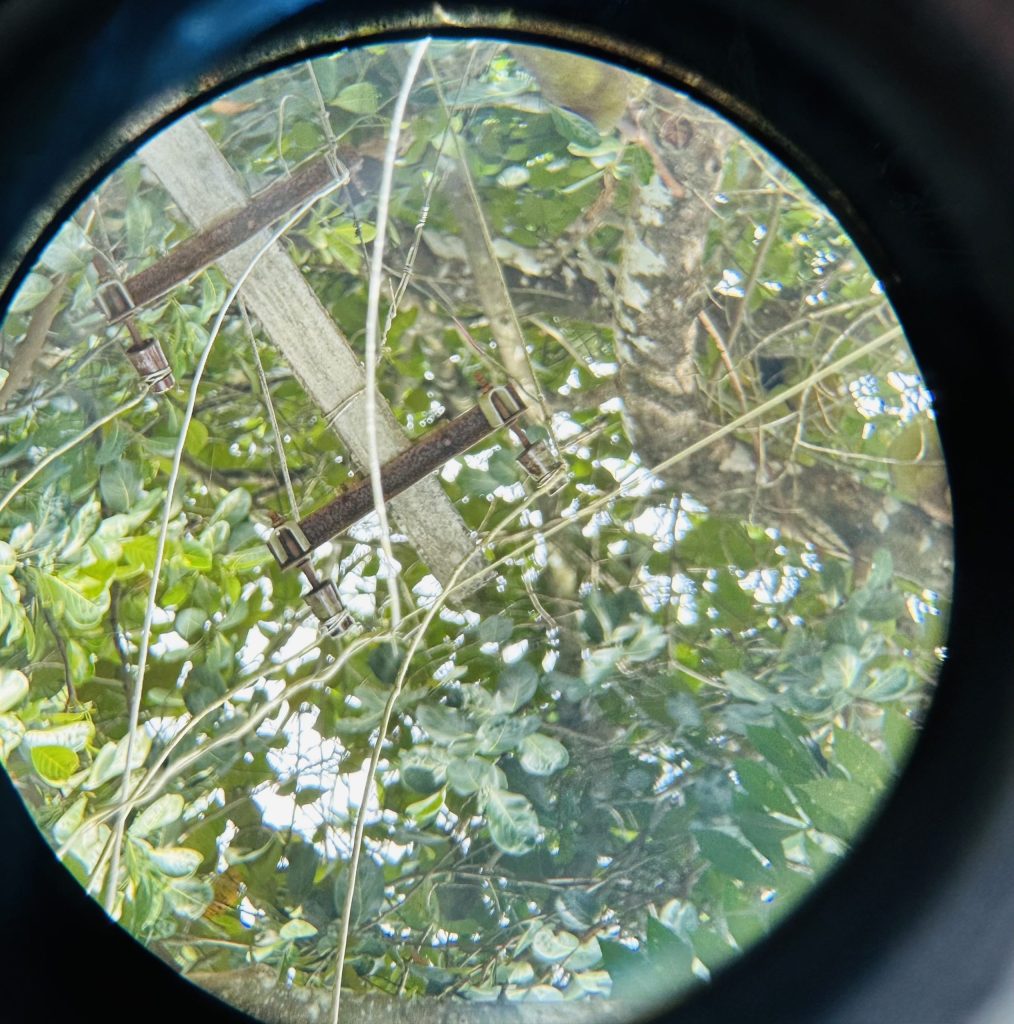 Viewing a telephone post through an eyepiece