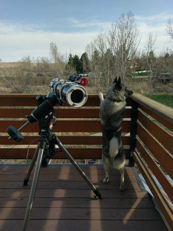 EQ-G tripod on use along with my pet dog