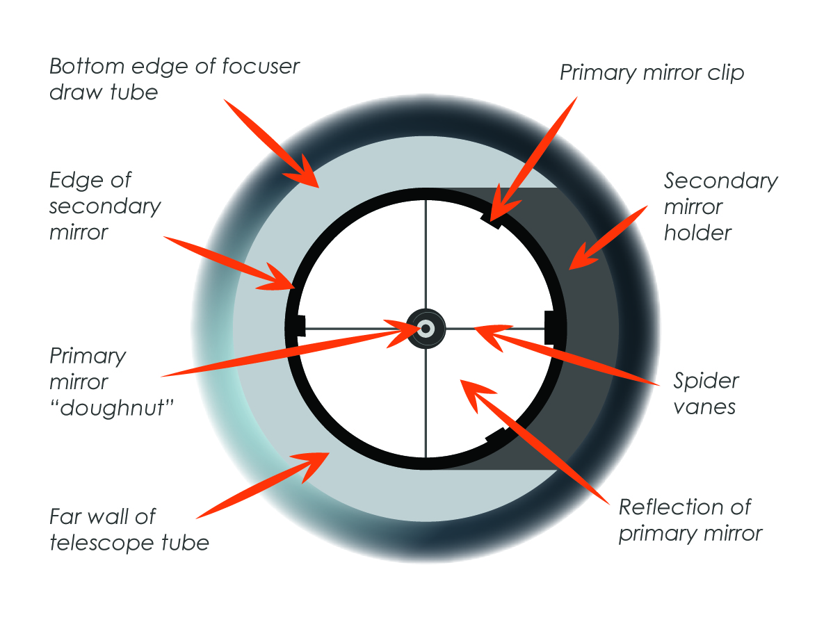 final collimation view