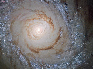 M94
