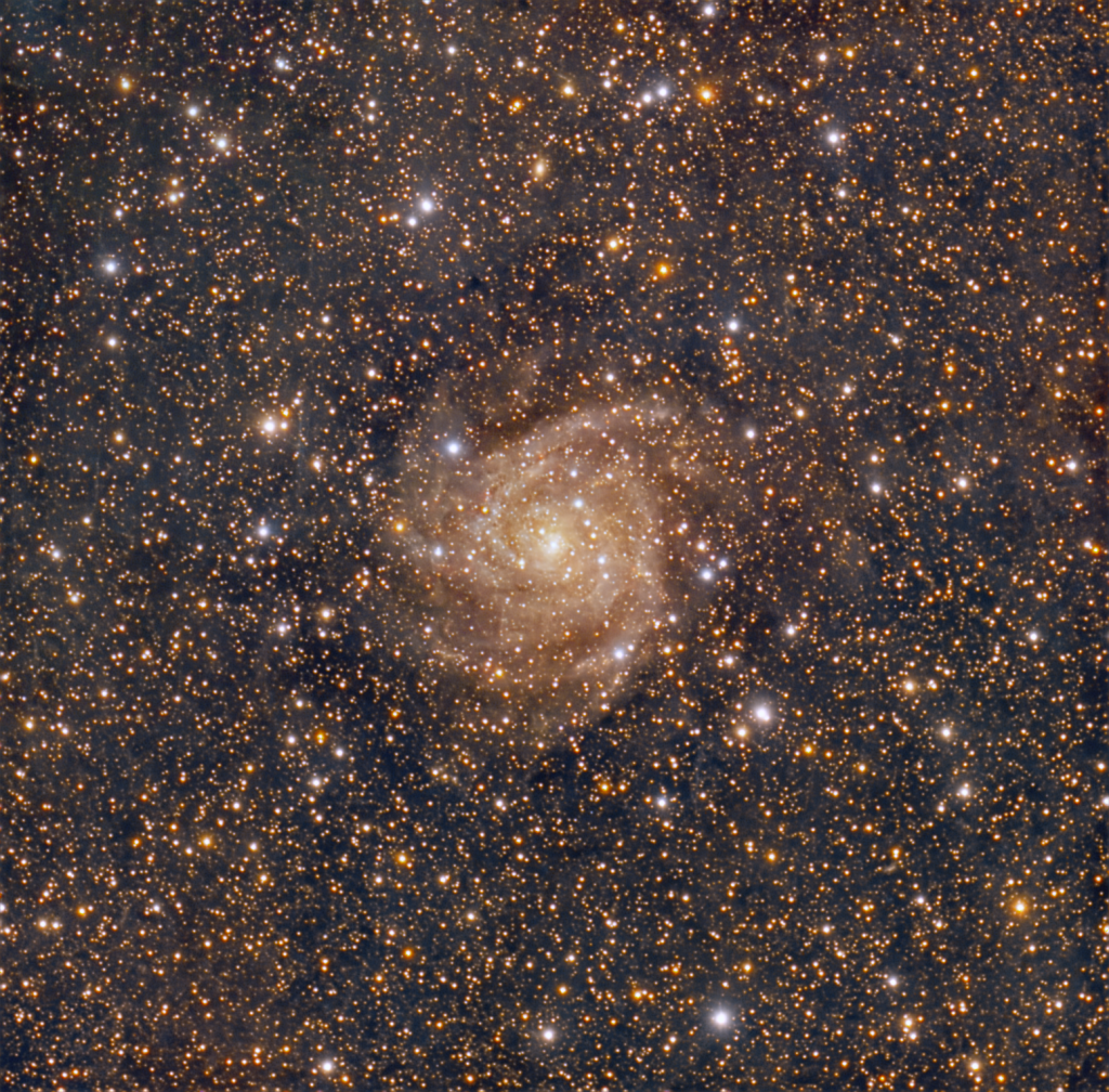 IC 342 supernova
